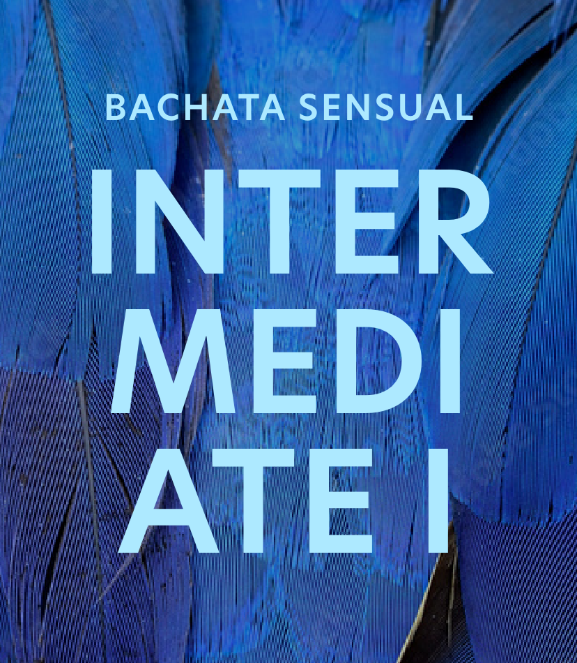 BS Intermediate I