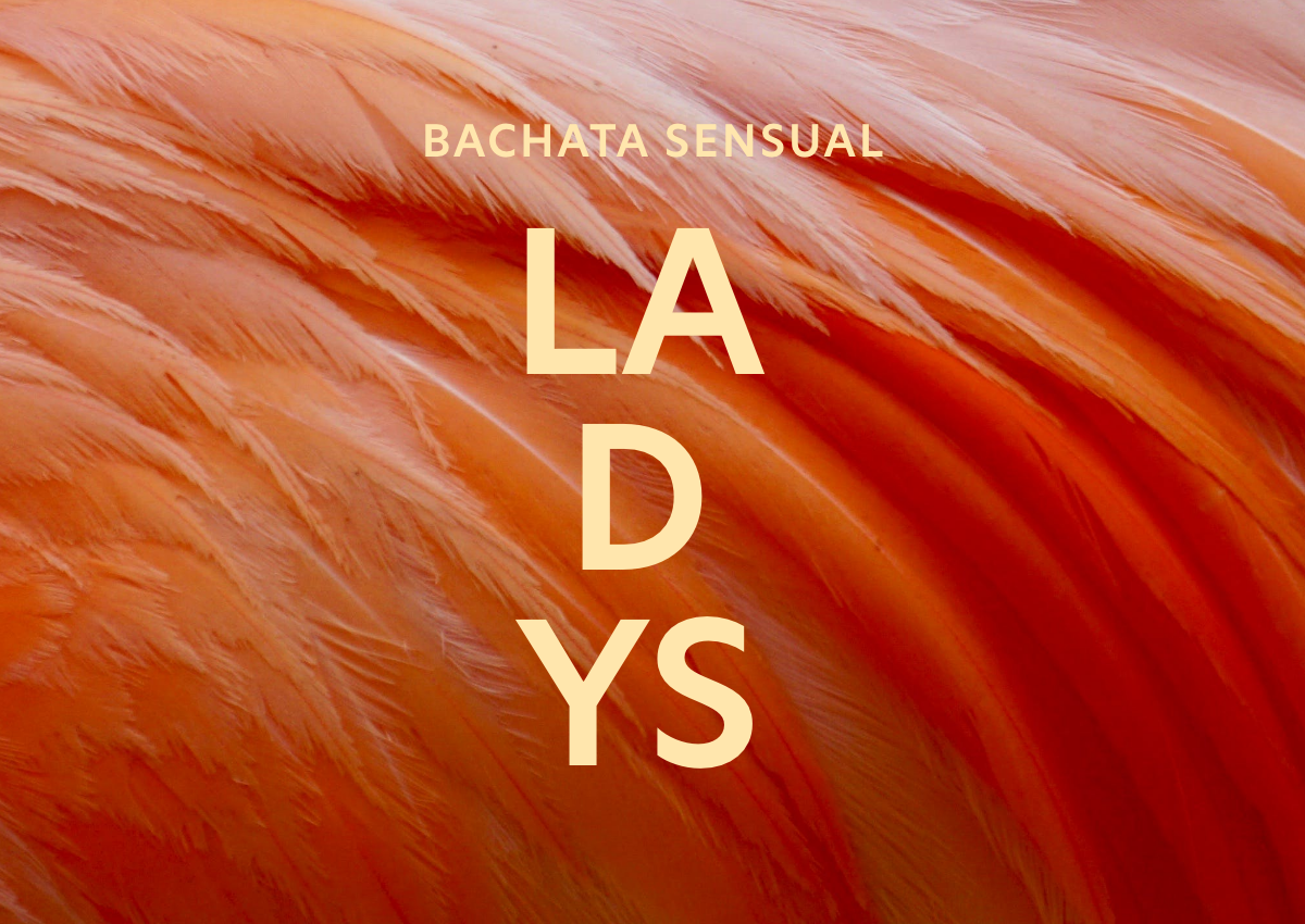 Bachata-Sensual-Ladys_Link