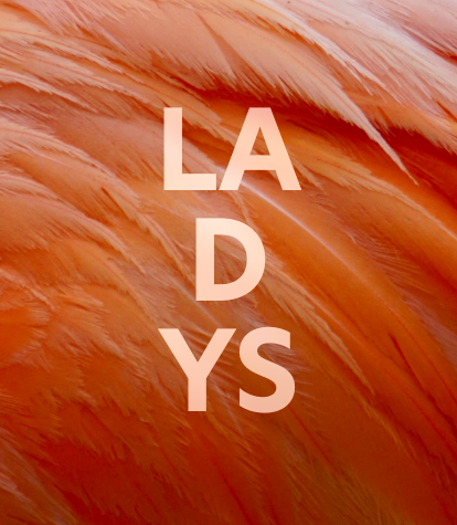 Ladysstyling
