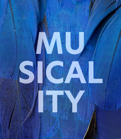 Musicality